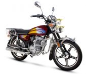 2013 Giantco Trooper II 150 photo